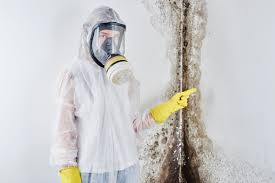 Best Mold Prevention Services  in North Pearsall, TX